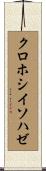 クロホシイソハゼ Scroll