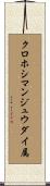 クロホシマンジュウダイ属 Scroll