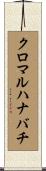 クロマルハナバチ Scroll