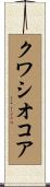 クワシオコア Scroll