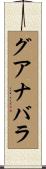 グアナバラ Scroll