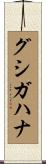 グシガハナ Scroll