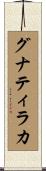グナティラカ Scroll
