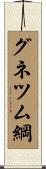 グネツム綱 Scroll