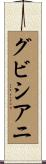 グビシアニ Scroll