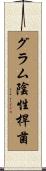 グラム陰性桿菌 Scroll