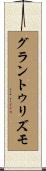 グラン・トゥリズモ Scroll