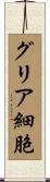 グリア細胞 Scroll