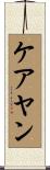 ケアヤン Scroll