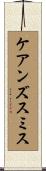 ケアンズスミス Scroll