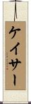 ケイサー Scroll