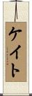 Cato Scroll