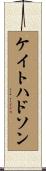 ケイトハドソン Scroll