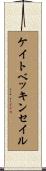 ケイトベッキンセイル Scroll