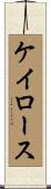 ケイロース Scroll