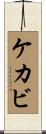 ケカビ Scroll