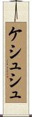 ケシュシュ Scroll