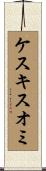 ケスキスオミ Scroll