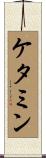 ケタミン Scroll