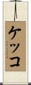 ケッコ Scroll