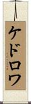 ケドロワ Scroll