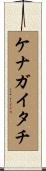 ケナガイタチ Scroll