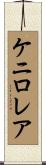 ケニロレア Scroll