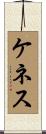 Kennith Scroll