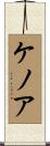 ケノア Scroll