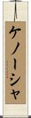 ケノーシャ Scroll