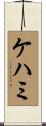ケハミ Scroll