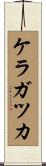 ケラガツカ Scroll