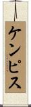 ケンピス Scroll