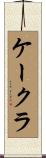 ケークラ Scroll