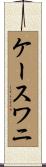 ケースワニ Scroll