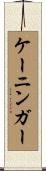 ケーニンガー Scroll