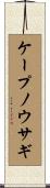 ケープノウサギ Scroll