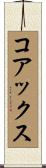 コアックス Scroll