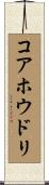 コアホウドリ Scroll