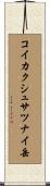 コイカクシュサツナイ岳 Scroll