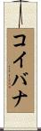 コイバナ Scroll