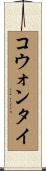 コウォンタイ Scroll