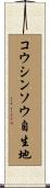 コウシンソウ自生地 Scroll