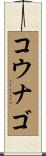 コウナゴ Scroll