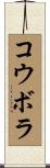 コウボラ Scroll