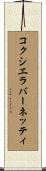 コクシエラバーネッティ Scroll