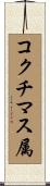 コクチマス属 Scroll
