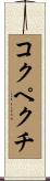 コクペクチ Scroll