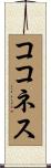 ココネス Scroll