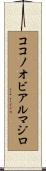 ココノオビアルマジロ Scroll